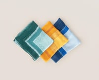 وشاح الحجاز - بيت نصيف