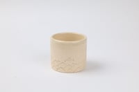 كوب سنام من مجموعة أكواب منقية