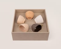 فناجين مجالس العلم