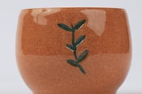 فنجان نسمة المورينغا اللون الأبيض مع الأخضر