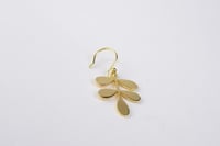 حلق المورينغا من الفضه الخالصه المطلية بالذهب- الت...