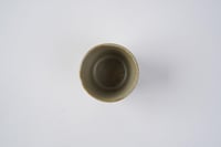 أكواب |ألوان الجنوب