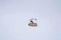 تعليقة رواشين جدة