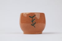 فنجان نسمة المورينغا اللون الأبيض مع الأخضر