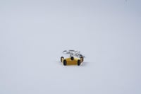 ميدالية المقصب ذهبي