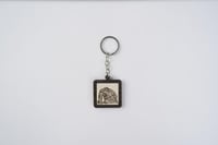 ميدالية | جبل الفيل 2