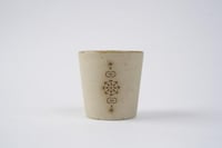 أكواب |رواشين جدة