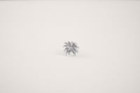 أقراط لينا | فضة