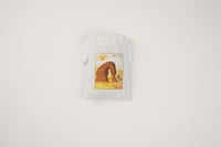 لعبة تركيب | العلا