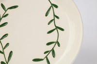 طبق مورينغا المتوسط