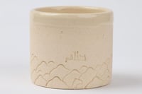 كوب سنام من مجموعة أكواب منقية