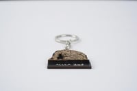 ميدالية | جبل الفيل