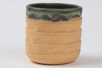 كوب جذع كبير