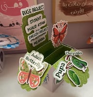 مطوية المفاجاة