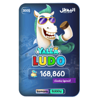 كود شحن يلا لودو - 300 دولار الماس