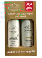 ال صالون مجموعة البروتين شامبو+بلسم