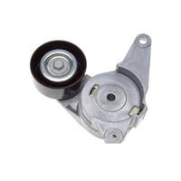 شداد سير جمس اكاديا