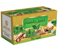 وادي النحل مشروب الزنجبيل بالنعناع