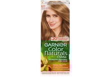 غارنييه صبغة شعر 8.11 اشقر فاتح رمادي