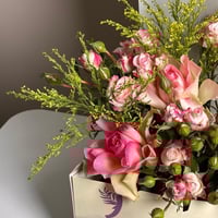 بوكس الميلاد Pink