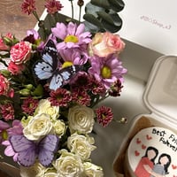 بوكس الصديق