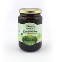 عسل الغابة عضوي - 500 جم - زاد ماضينا