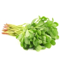 بقلة / رجلة عضوي