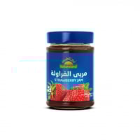 مربى الفراولة عضوي - أرض الطبيعة