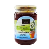 عسل الغابة عضوي 375جم - أورجانيك لاند