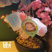 ميدالية بودنج-شيهيرو