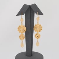 حلق ذهب الزهرة ( عيار 21 )