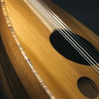 عود زرياب موديل 0 تصميم عراقي فرس متحرك