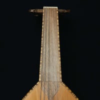 عود زرياب موديل 0 عراقي