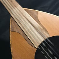 عود زرياب موديل 0