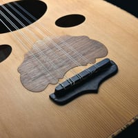 عود زرياب موديل 0 عراقي