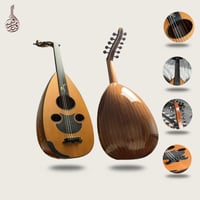 عود زرياب موديل 3 عراقي فرس ثابت