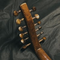 عود زرياب موديل 0