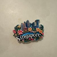 مغناطيس سنغافورة