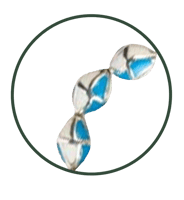 سبحة فضة فيروز