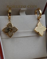 حلق روبرتو كوين