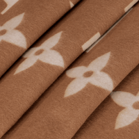 وشاح لويس فيتون Reykjavik scarf