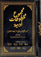 مجموع مخطوطات ادبية