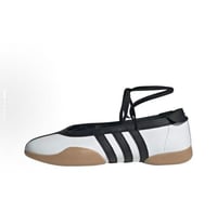 Taekwondo Mel Ballet