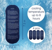 حافظة انسولين مع 4 اكياس جل ( 2 )