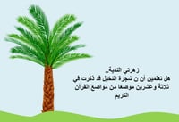 درس "من أنا" لغتي صف ثاني ابتدائي