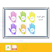 استراتيجية المصافحة (ملف PDF )