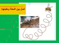 عروض تقديمية لكتاب التهيئة لغتي صف أول أبتدائي