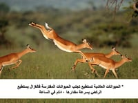 درس نموذجي" التكيف والبقاء" (علوم خامس)