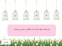 لعبة الطائر المفقود