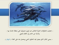 درس نموذجي " العلاقات في الانظمة البيئية" علوم خام...